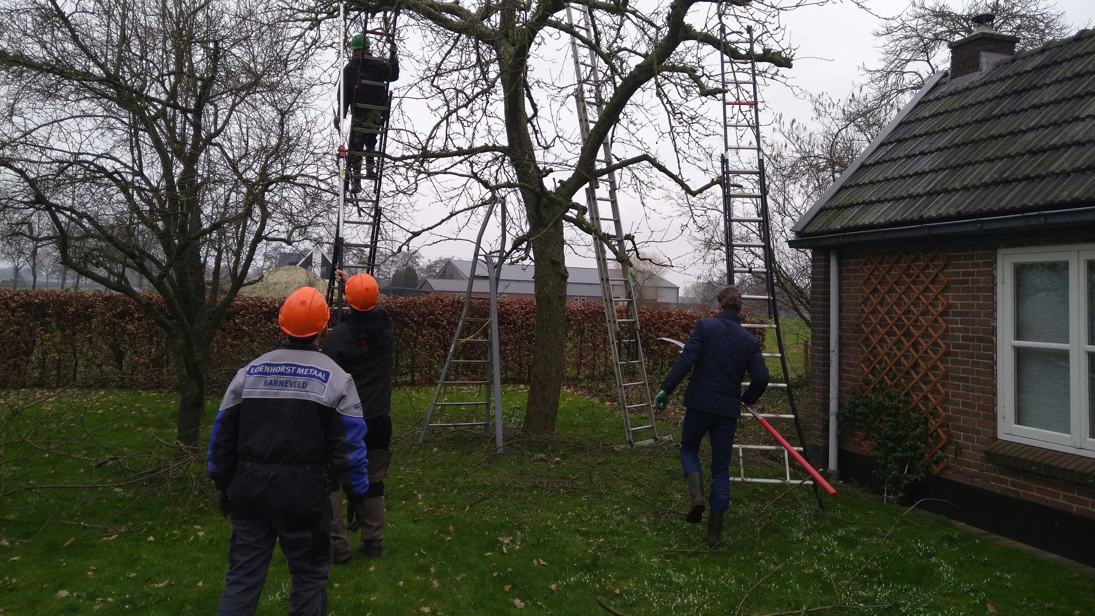hoogstambrigade barneveld aan het werk jan 24