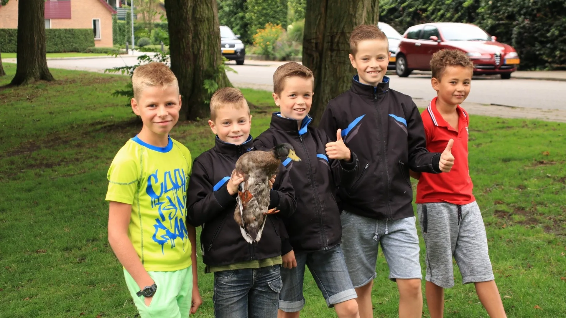 jeugd en dier barneveld