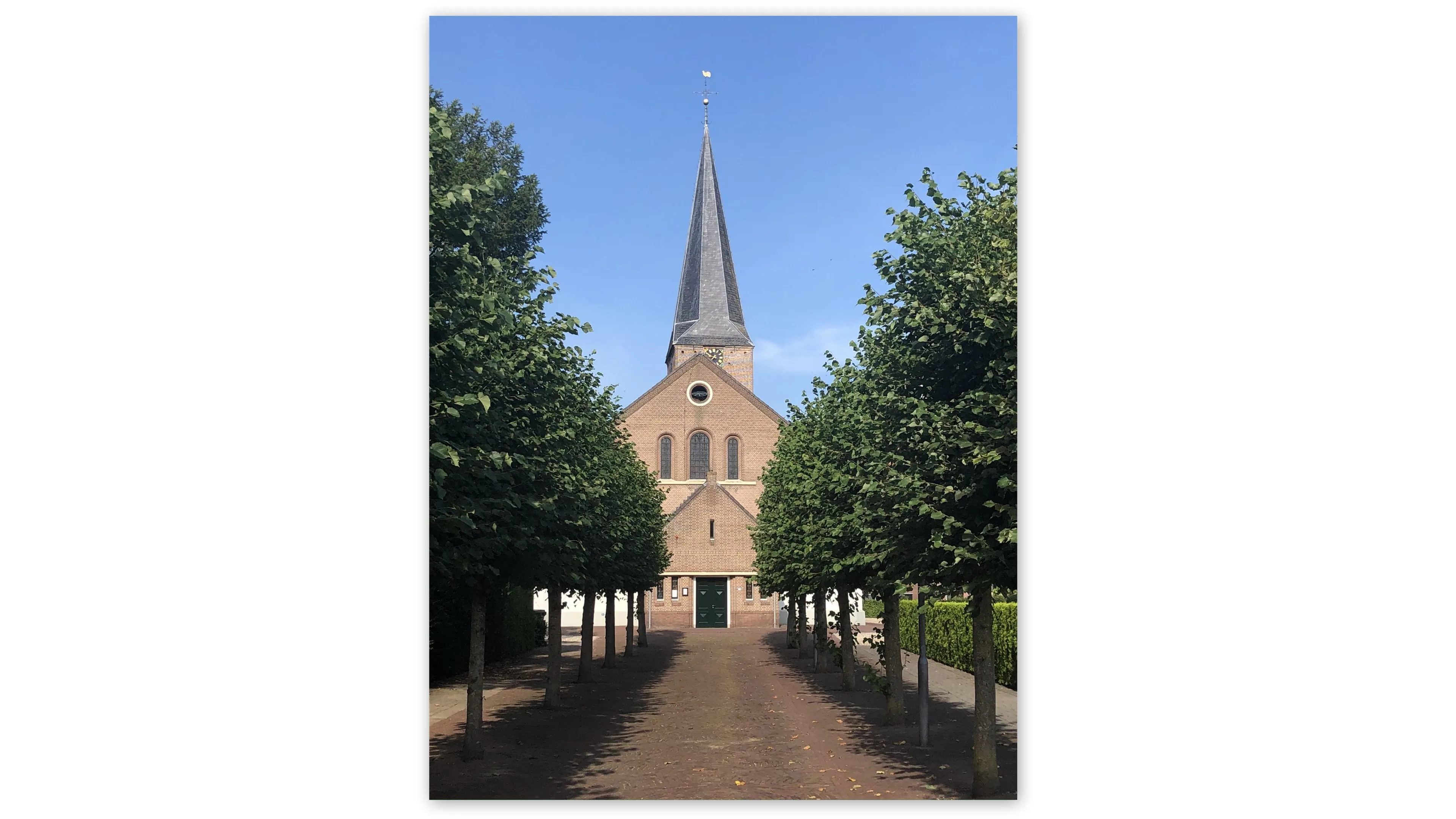 kerk bosgoed