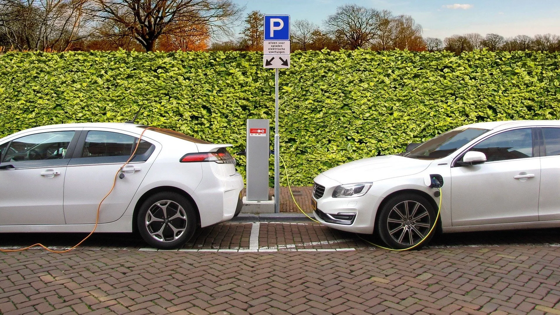 laadpaal rechtenvrij edenieuwsnl