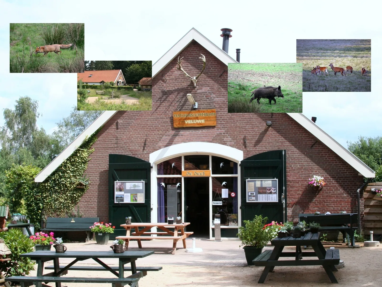natuurcentrum deel incl wild
