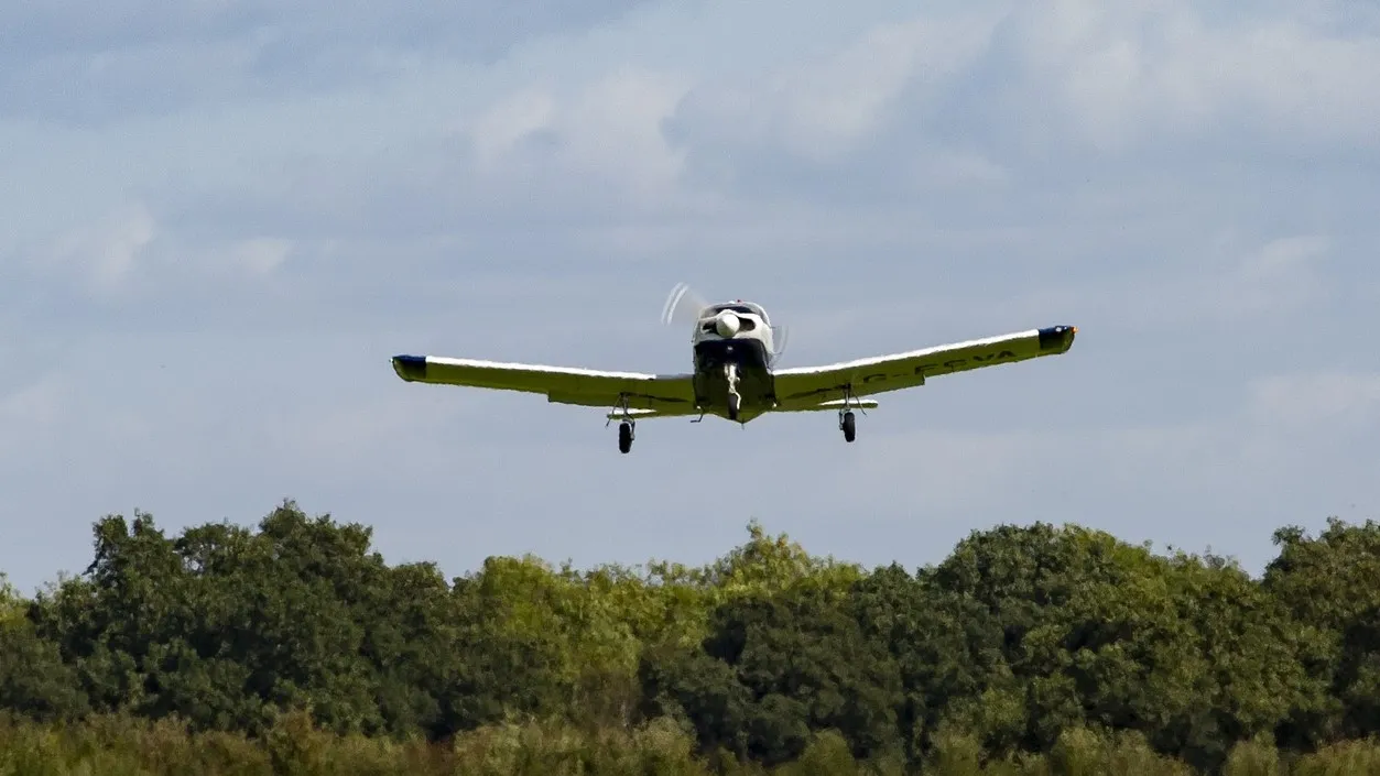 pixabay ter illustratie