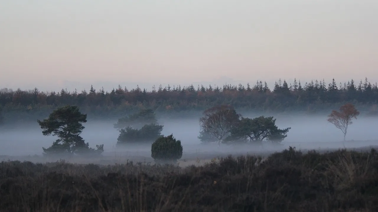 rechtenvrije foto gelderland1