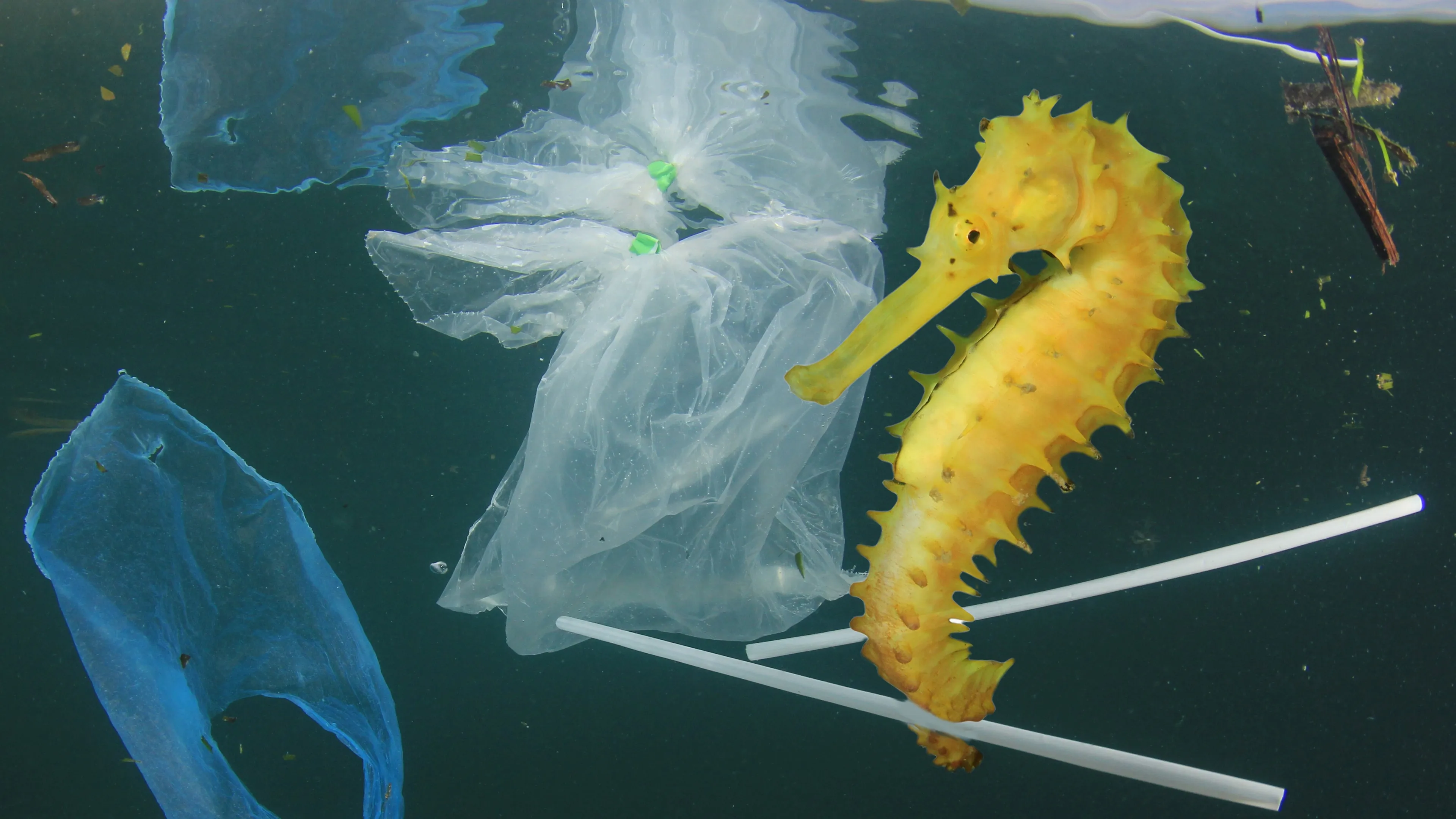 shutterstock 1078902029