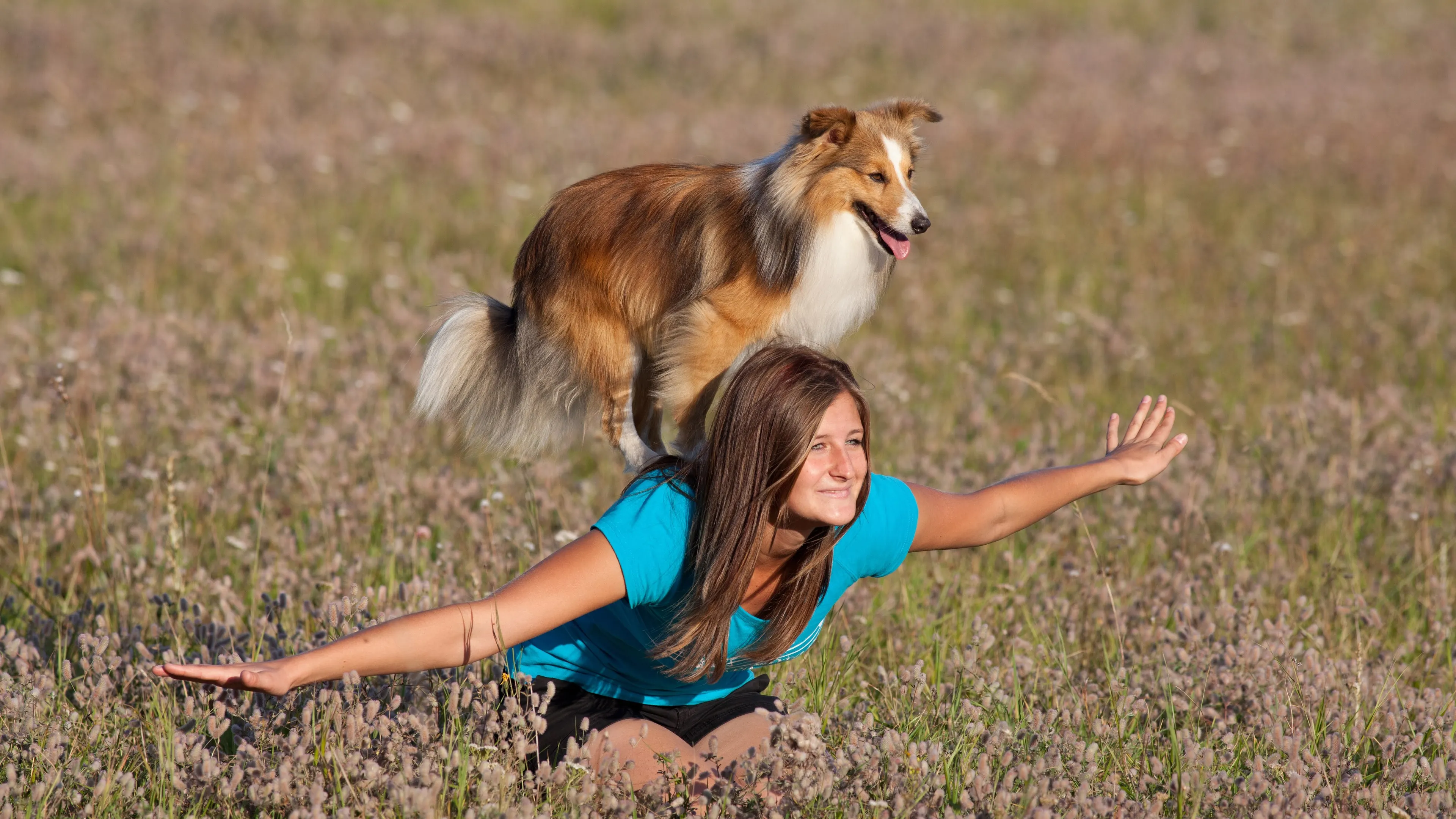 shutterstock 2262463722