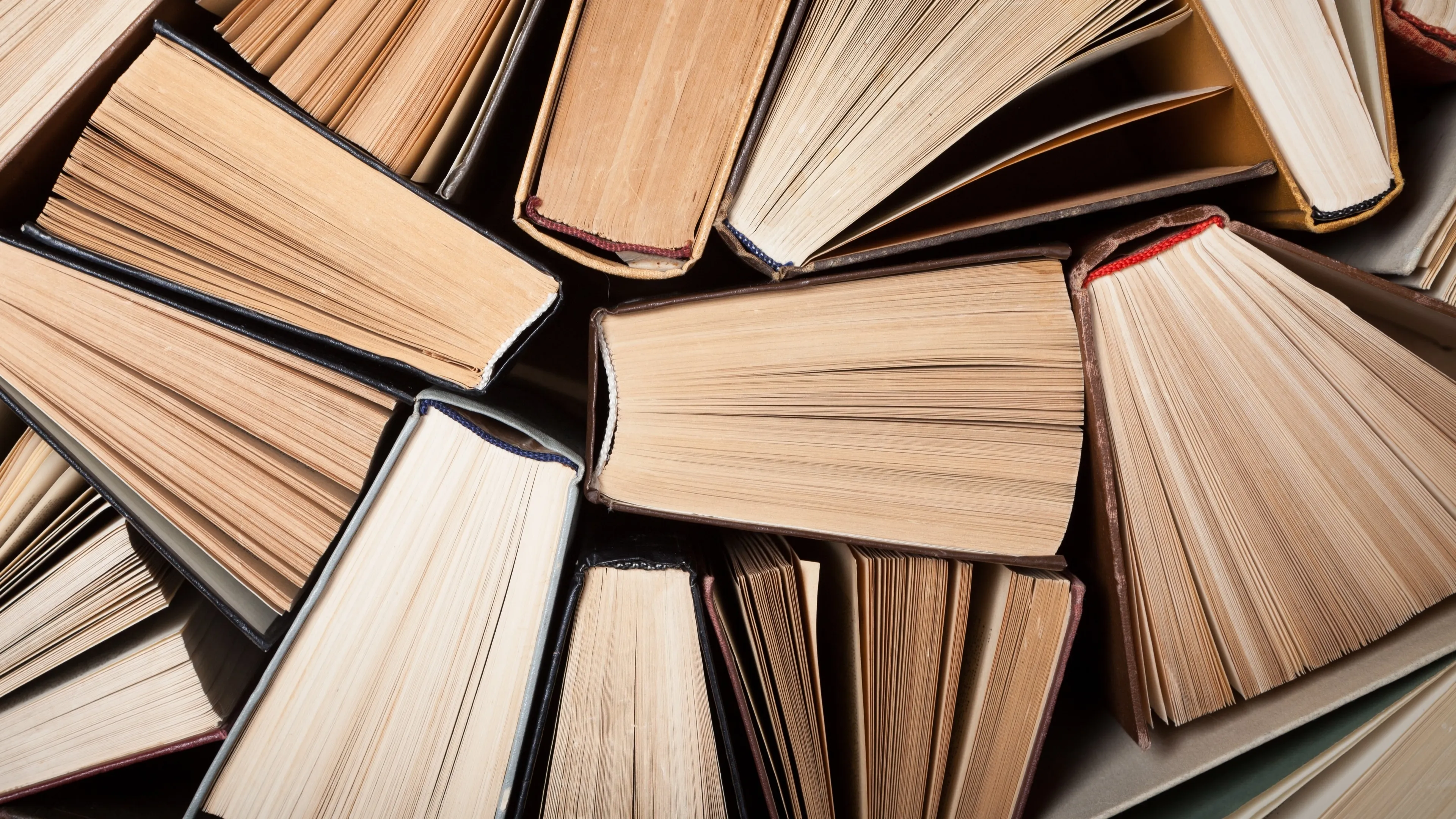 shutterstock 732217162