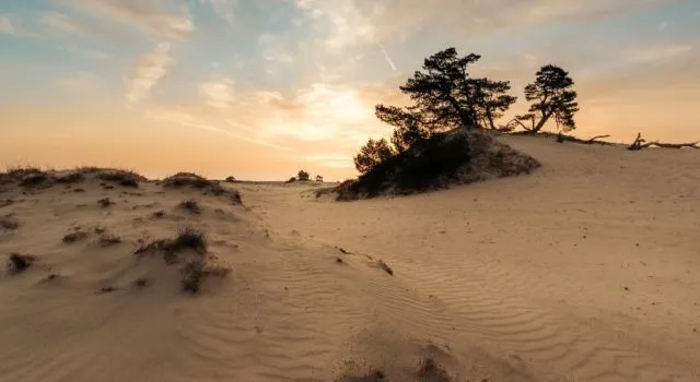 stuifzand 640x350