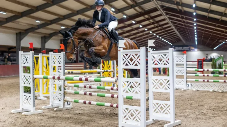 thirza jagermeister sportpaardenfoto