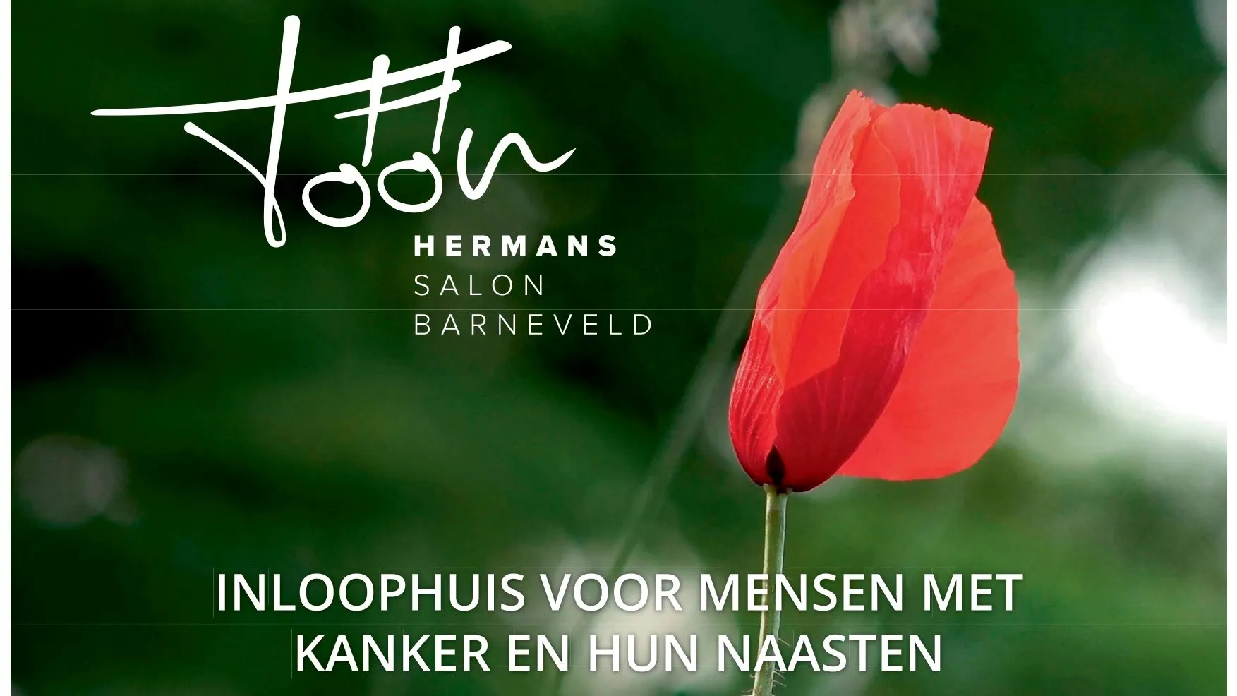 toon hermans salon