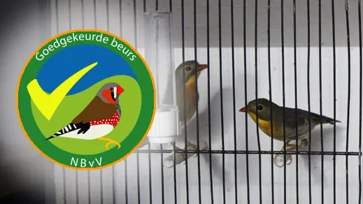 vogel beurs