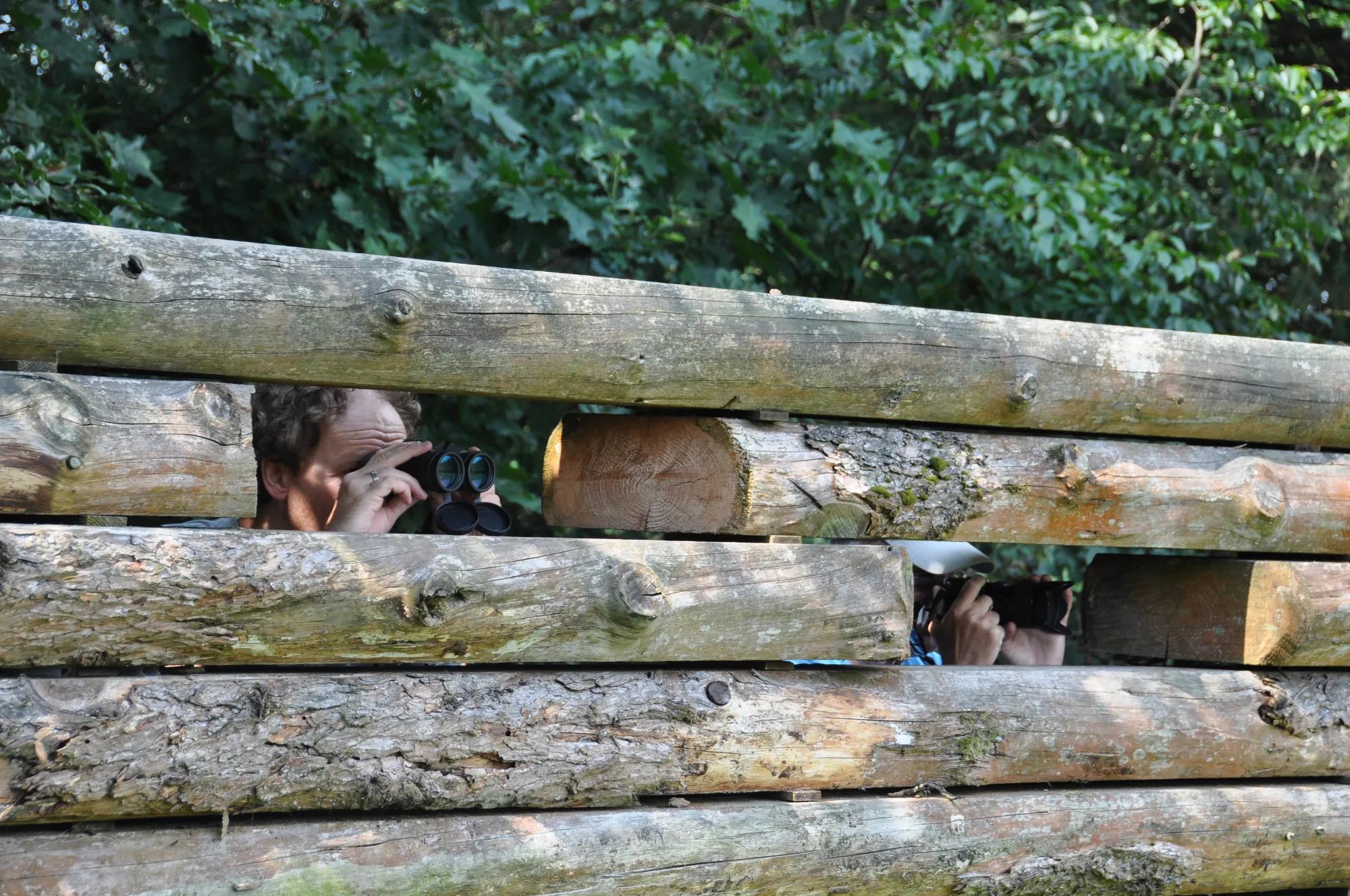 wildkijkscherm hoog buurlo