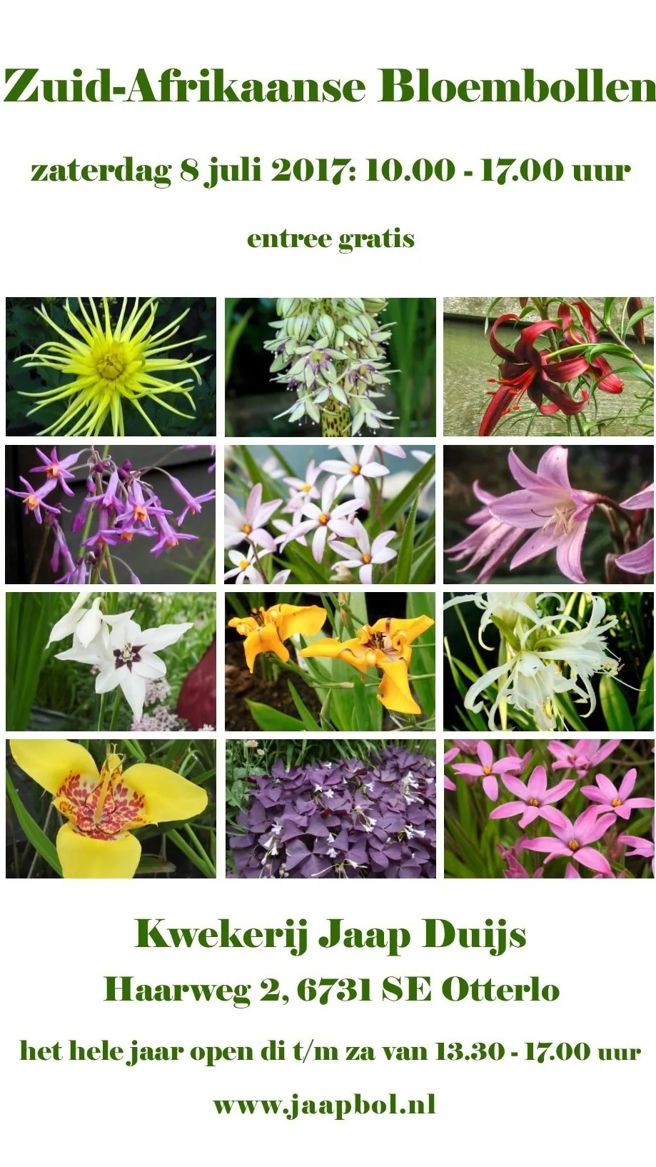 zuid afrikaanse bloembollendag 1 2017