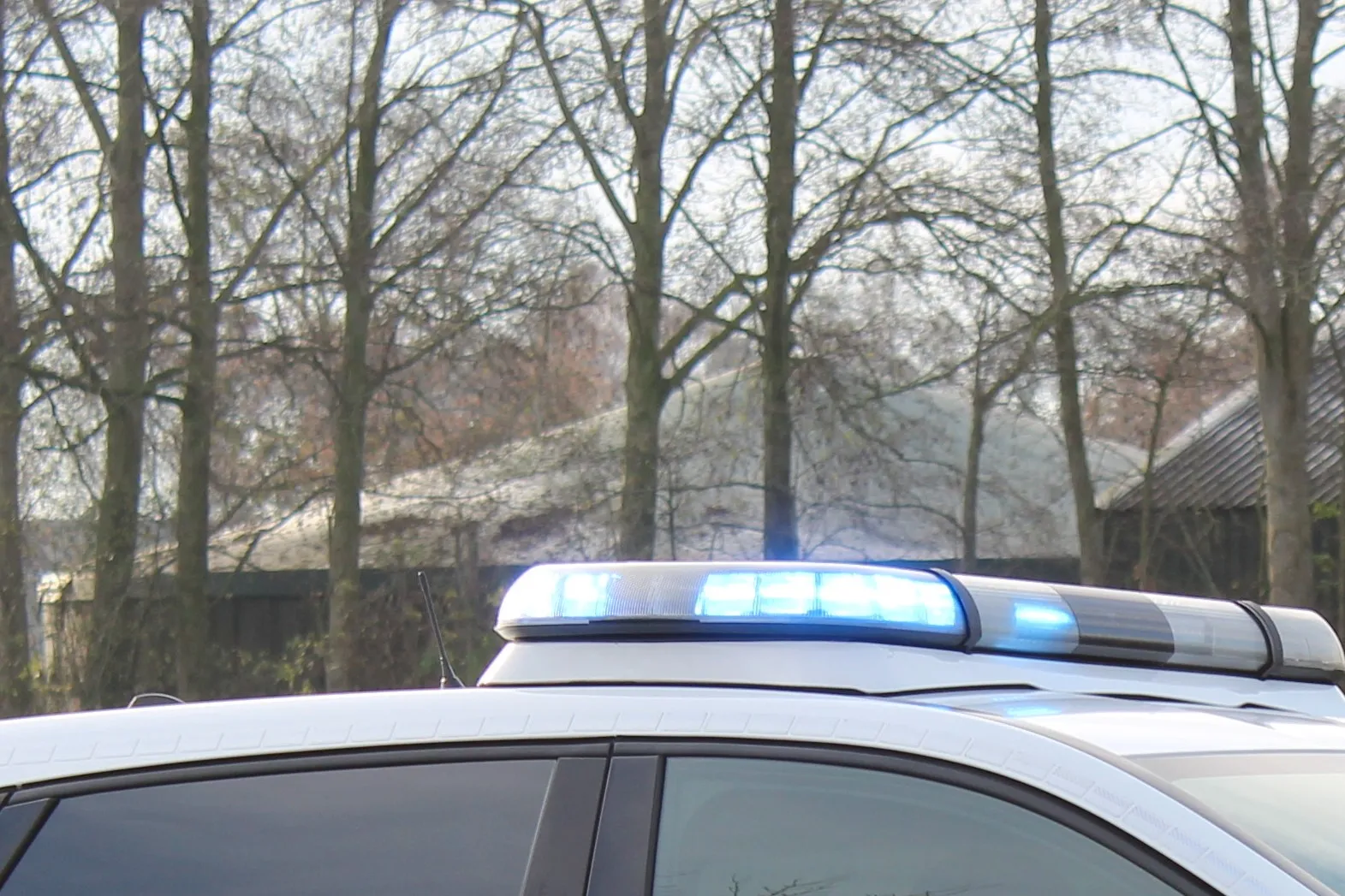 zwaailicht