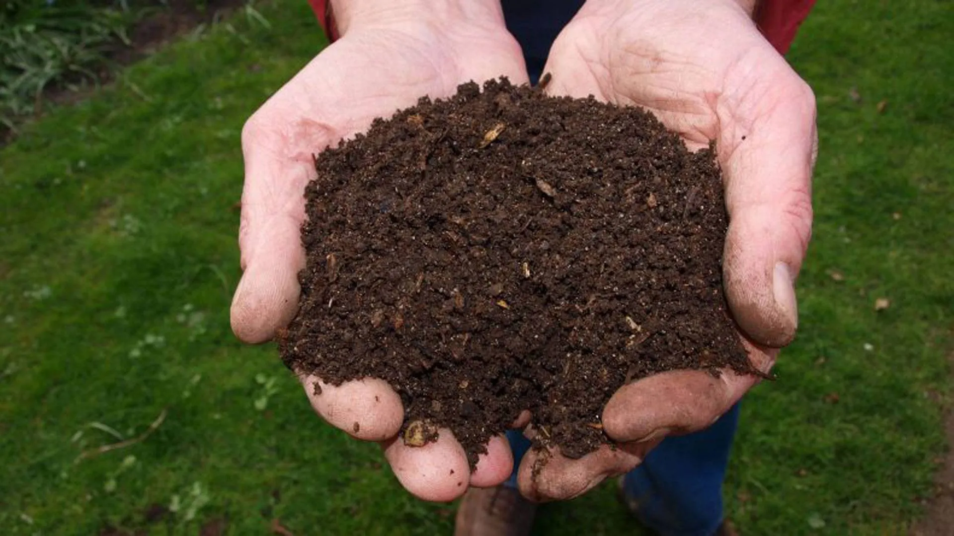 compost foto pixabay