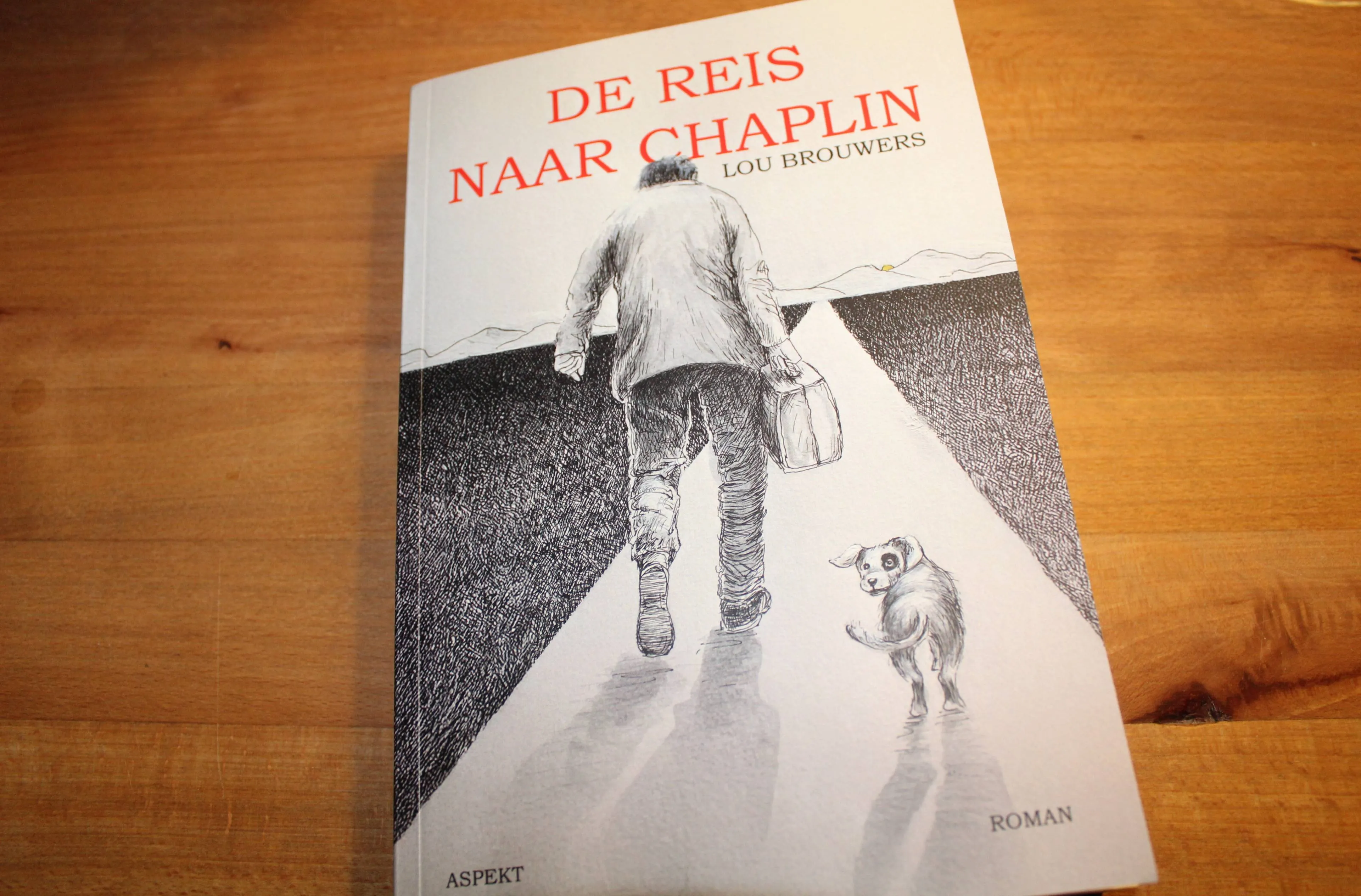 Boek beoodeling Chris Ouboter