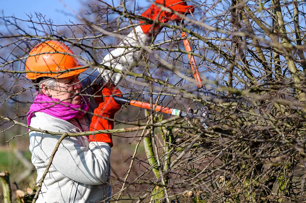 Boerderij Ruimzicht-Website-32 bron Marcel de Bont