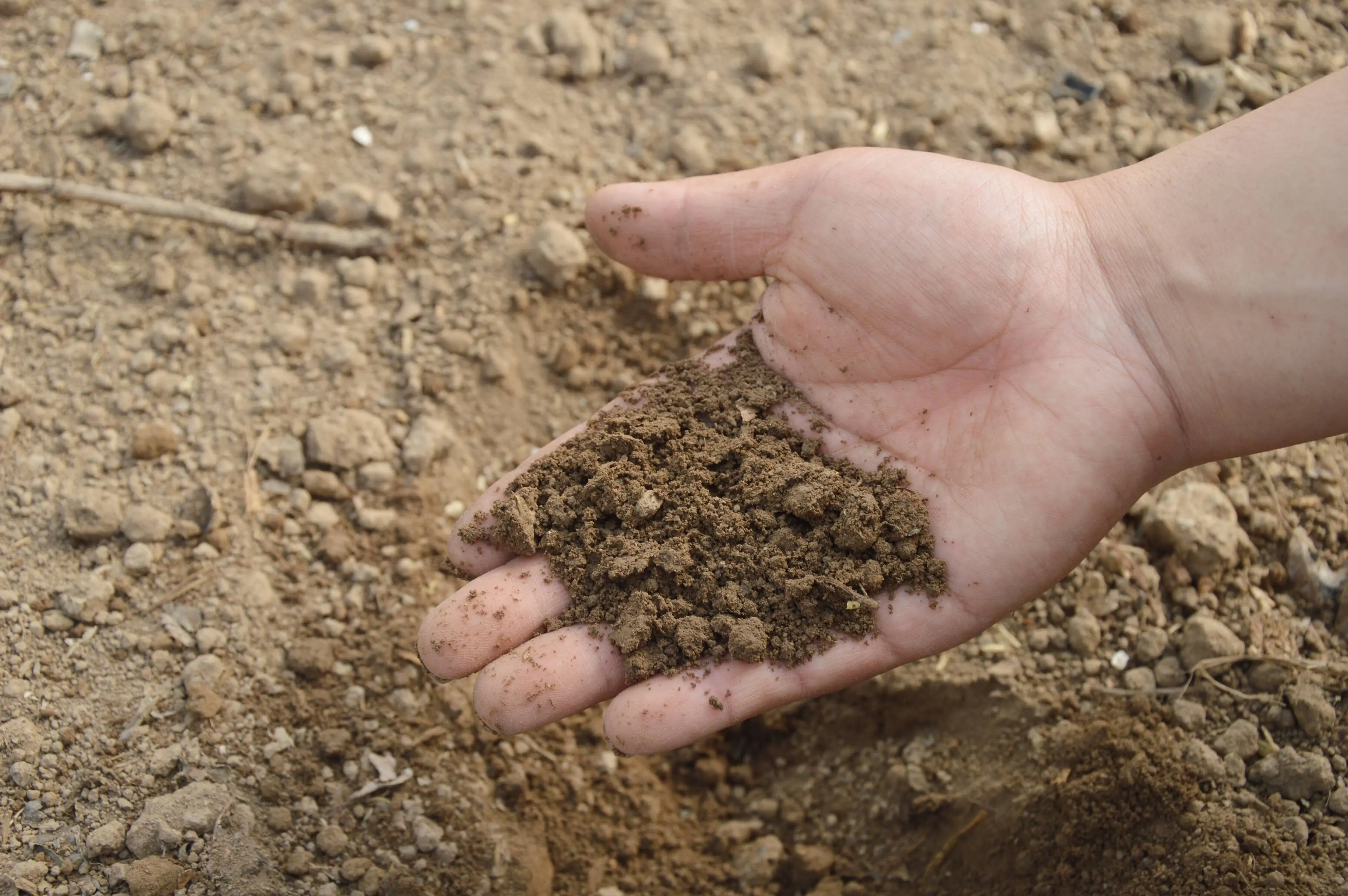 jing-soil-766281