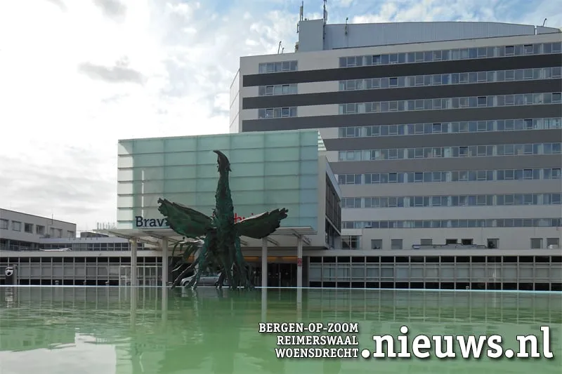 20170923 boz bravis21