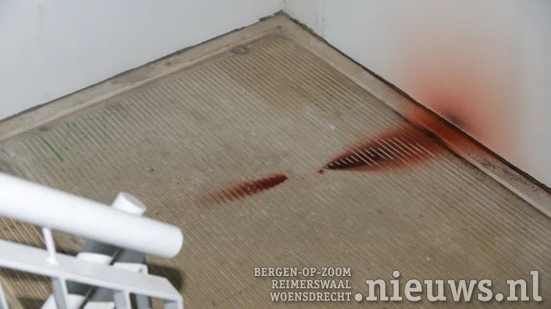 20180107 boz brand 001