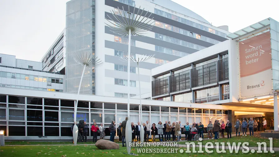 20221110 jkr boz bravis kunstwerk 001