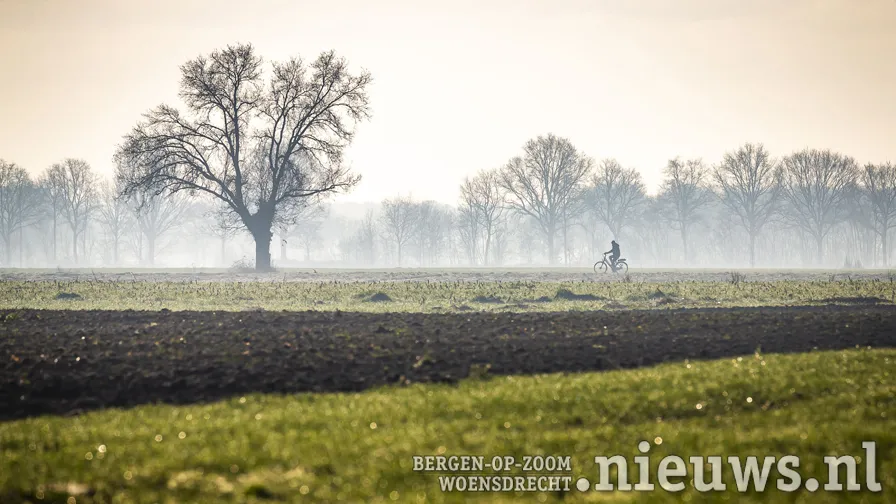 de bulkenaar