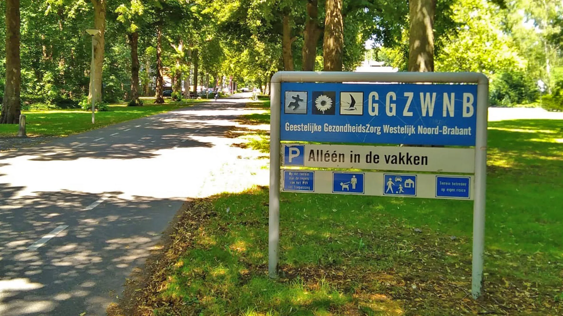 ggzwnb