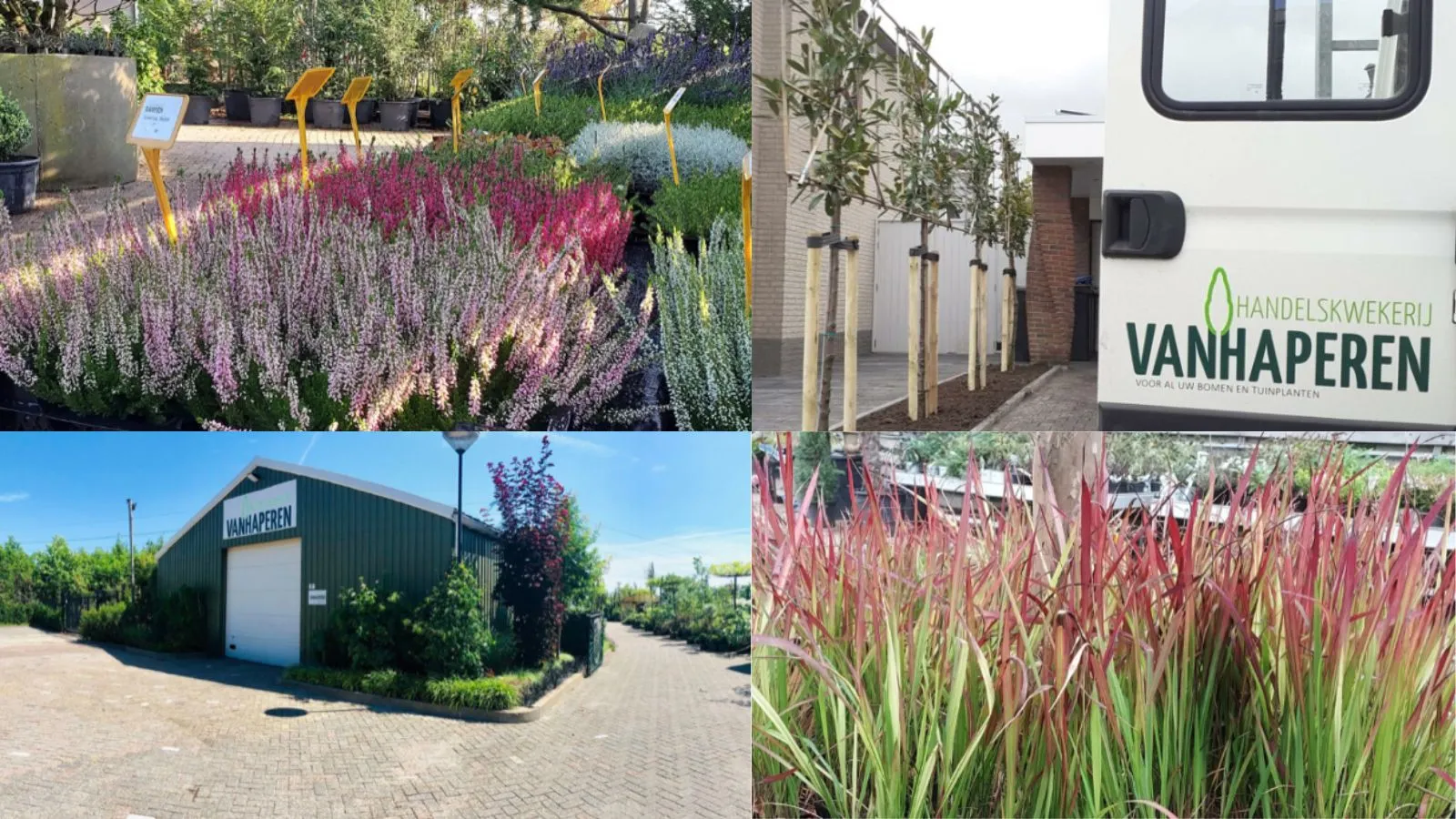 handelskwekerijvanhaperen