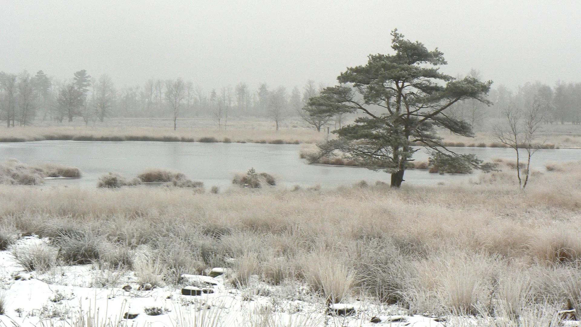 ivn nareka wandeling