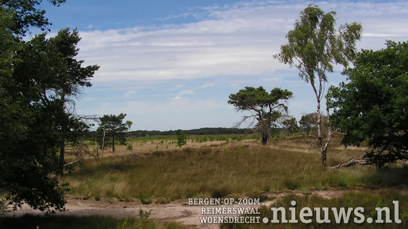 jkr kalmthoutseheide