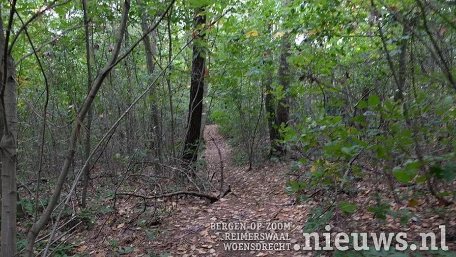 jkr oss bos volksabdij 0011