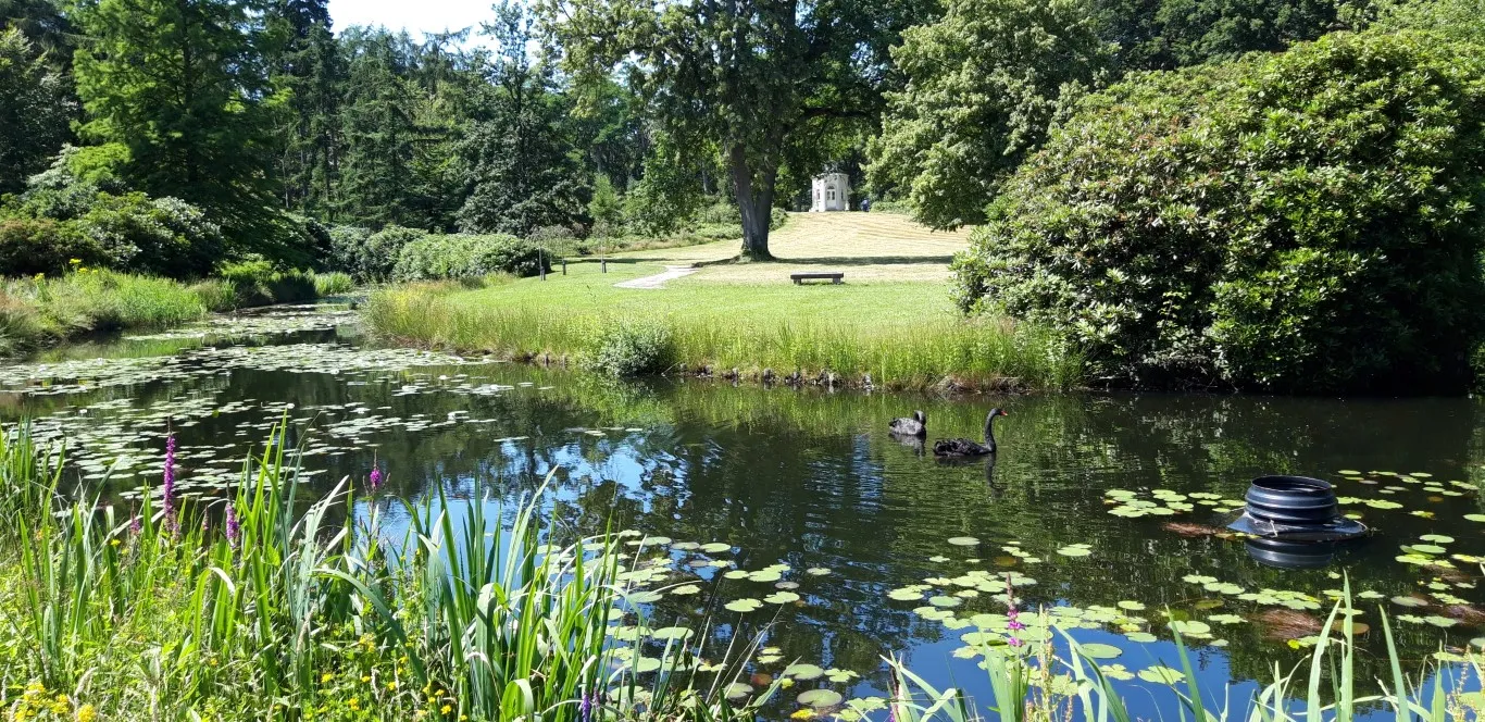 mattemburgh advanloenhout