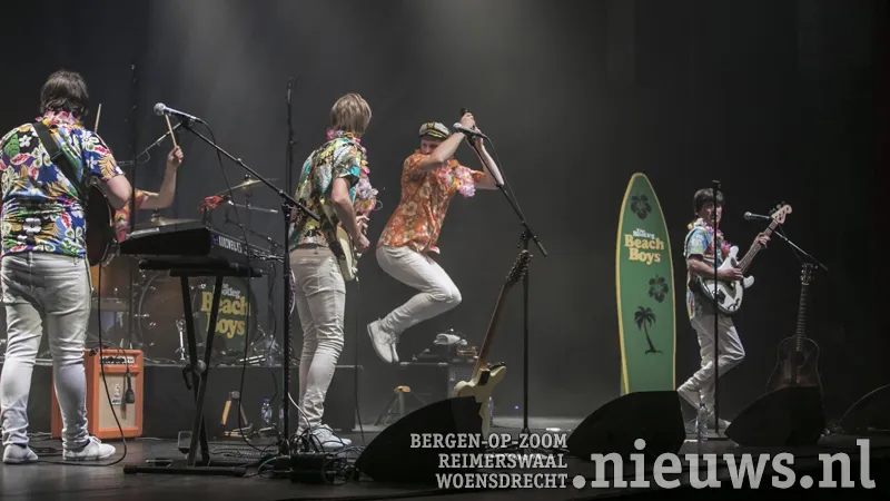 the bootleg beach boys 3