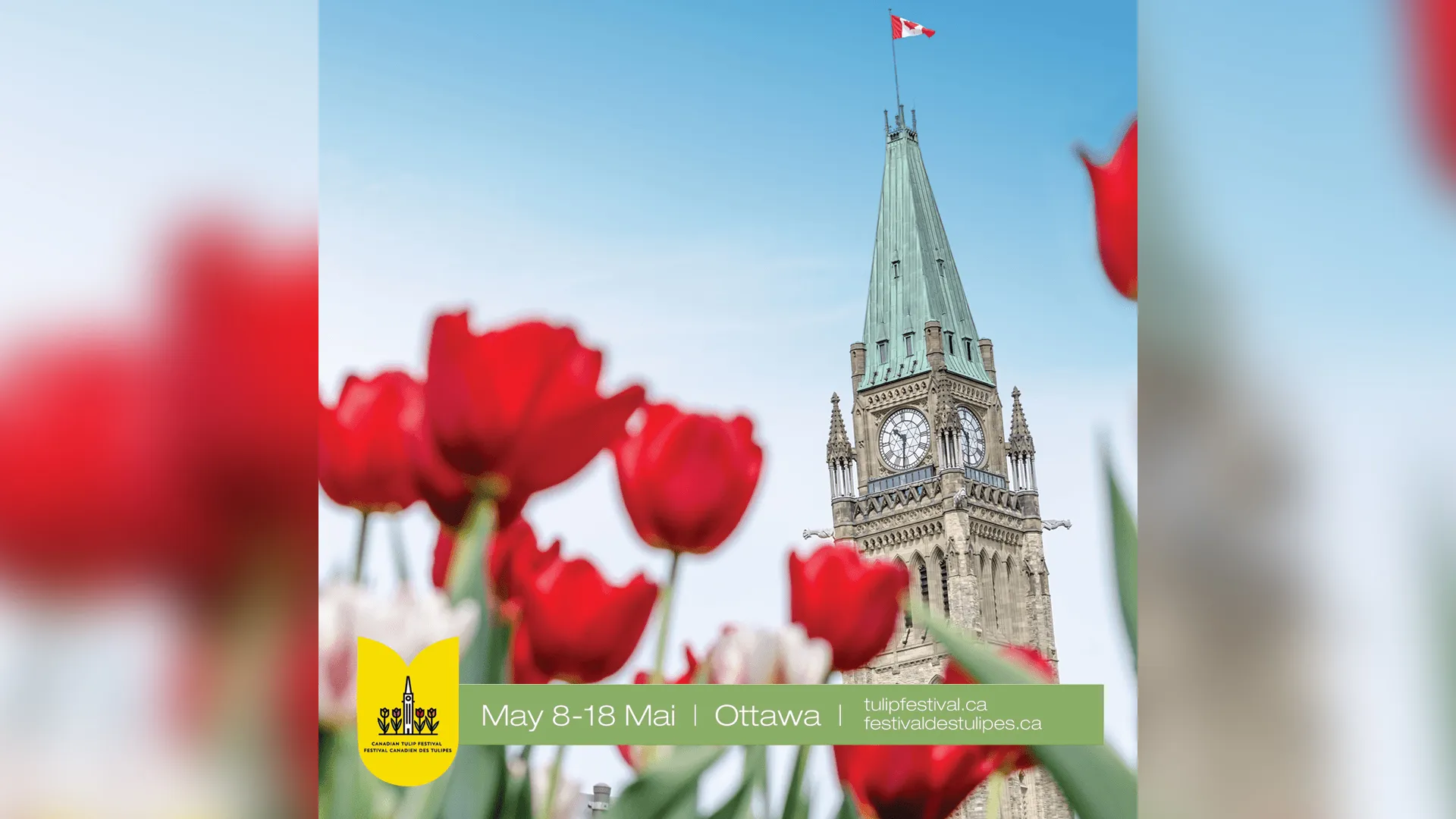 tulpenfestival
