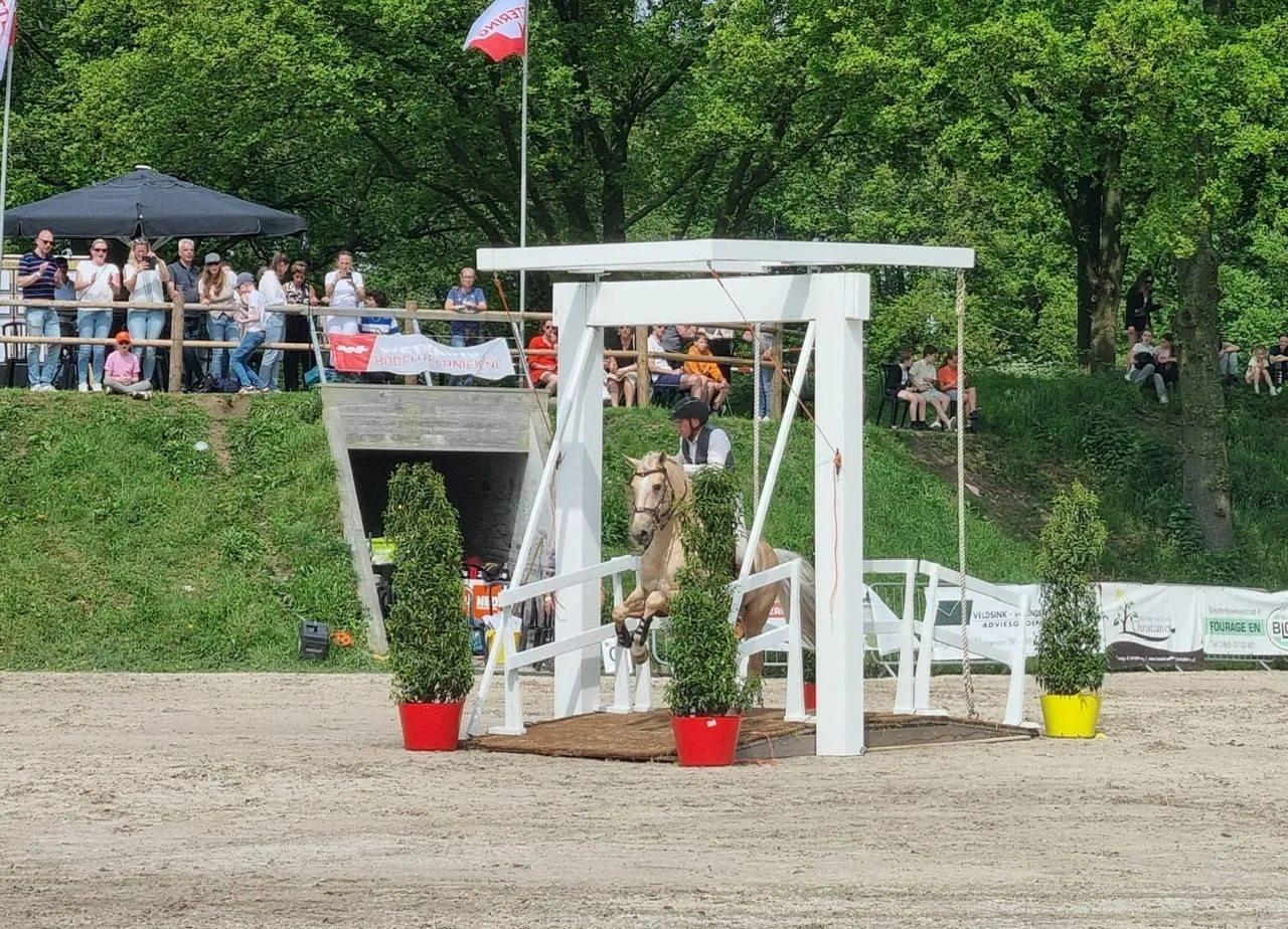 foto mark hoeffgen 1
