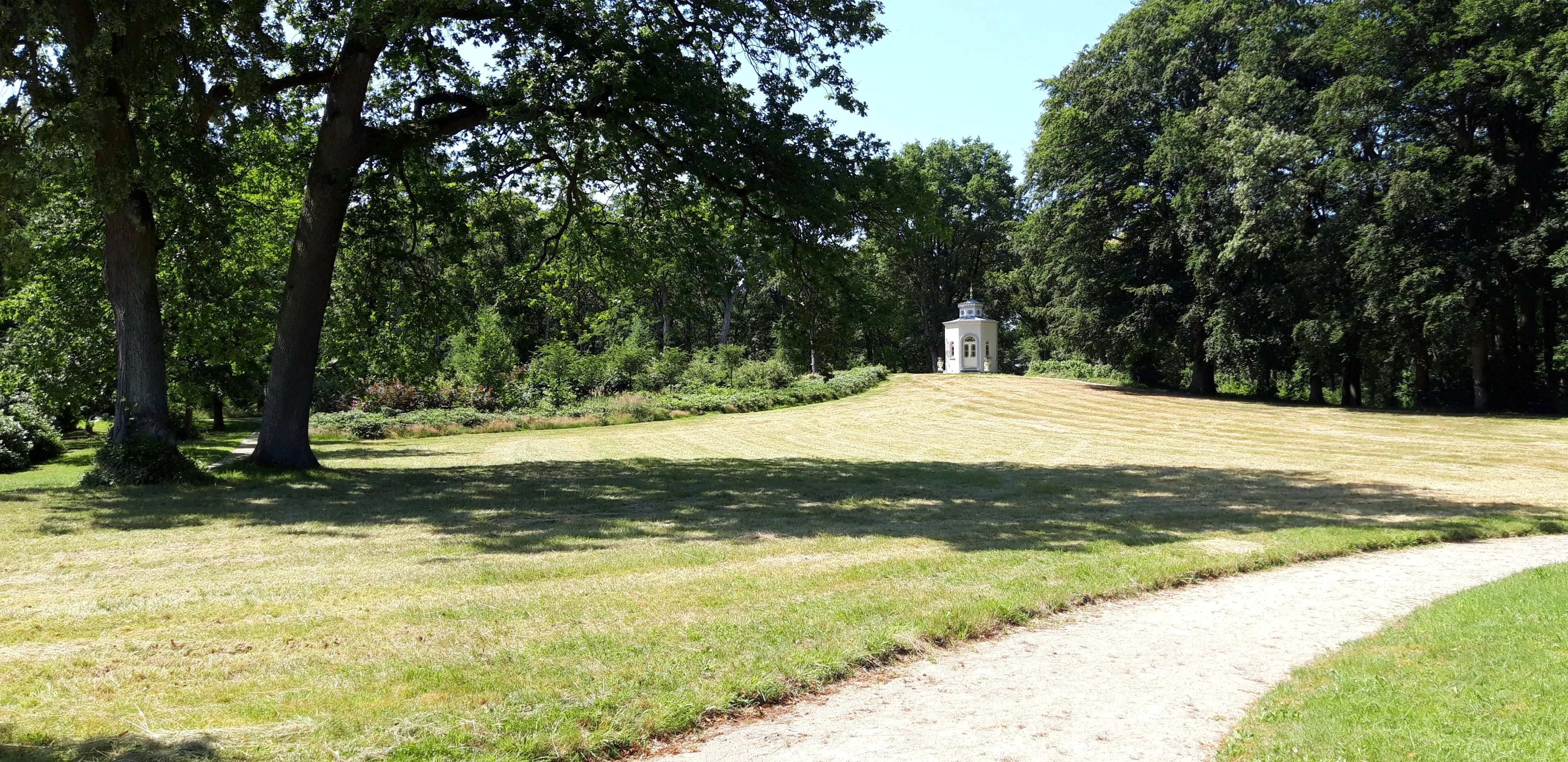 Foto Ad van Loenhout (1)