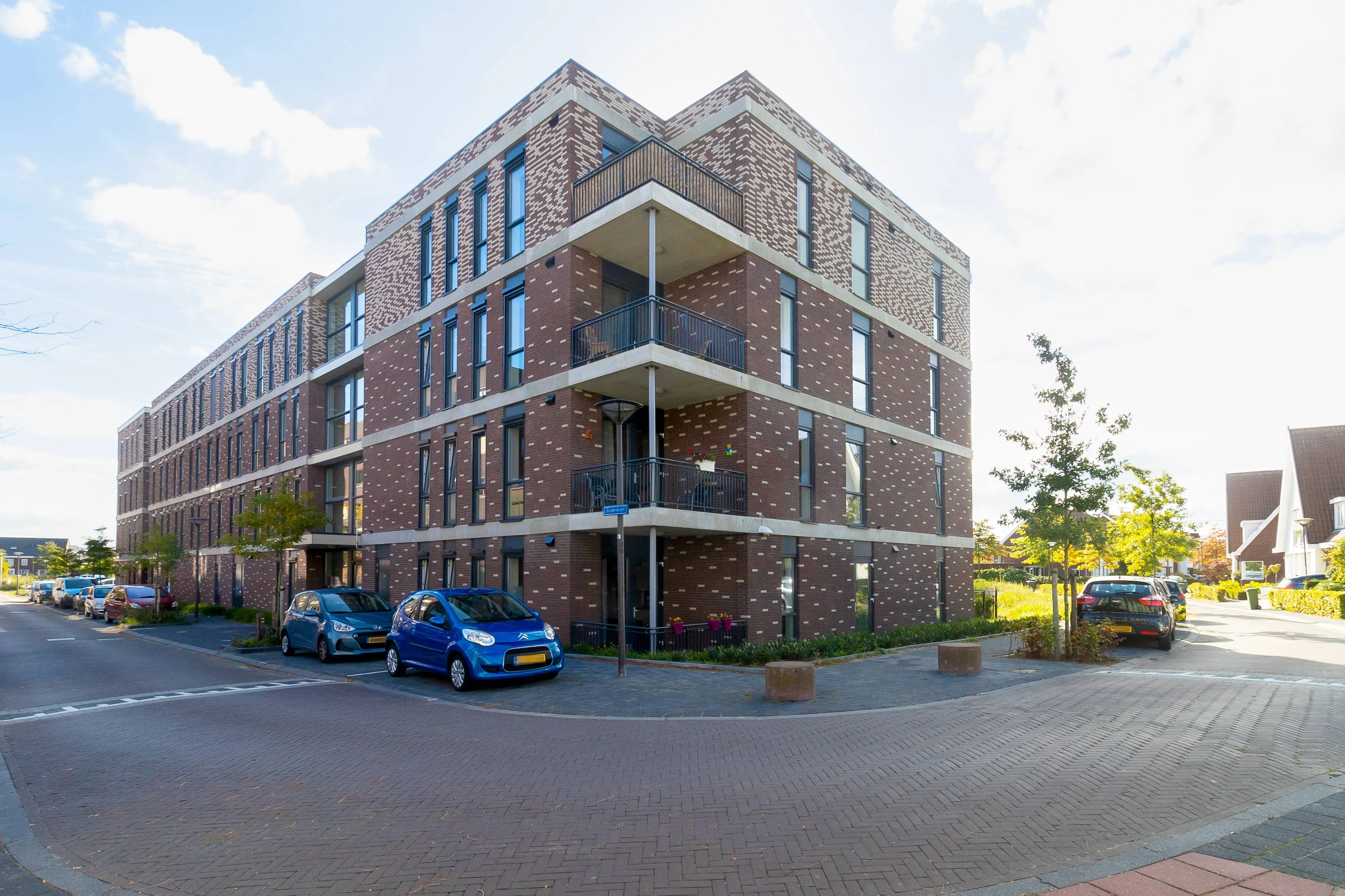 Zuiderdreef-1