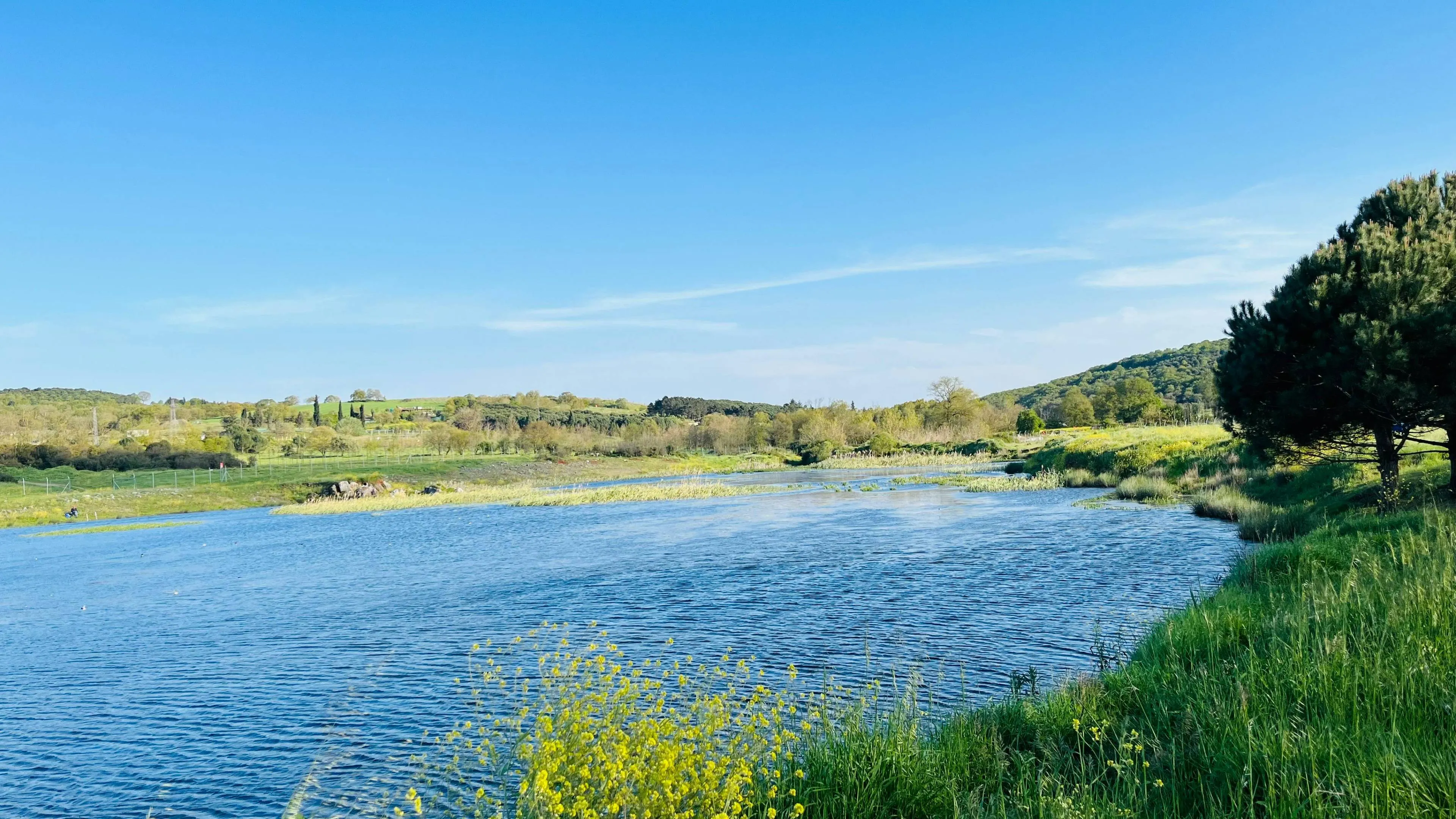 biodiversiteit