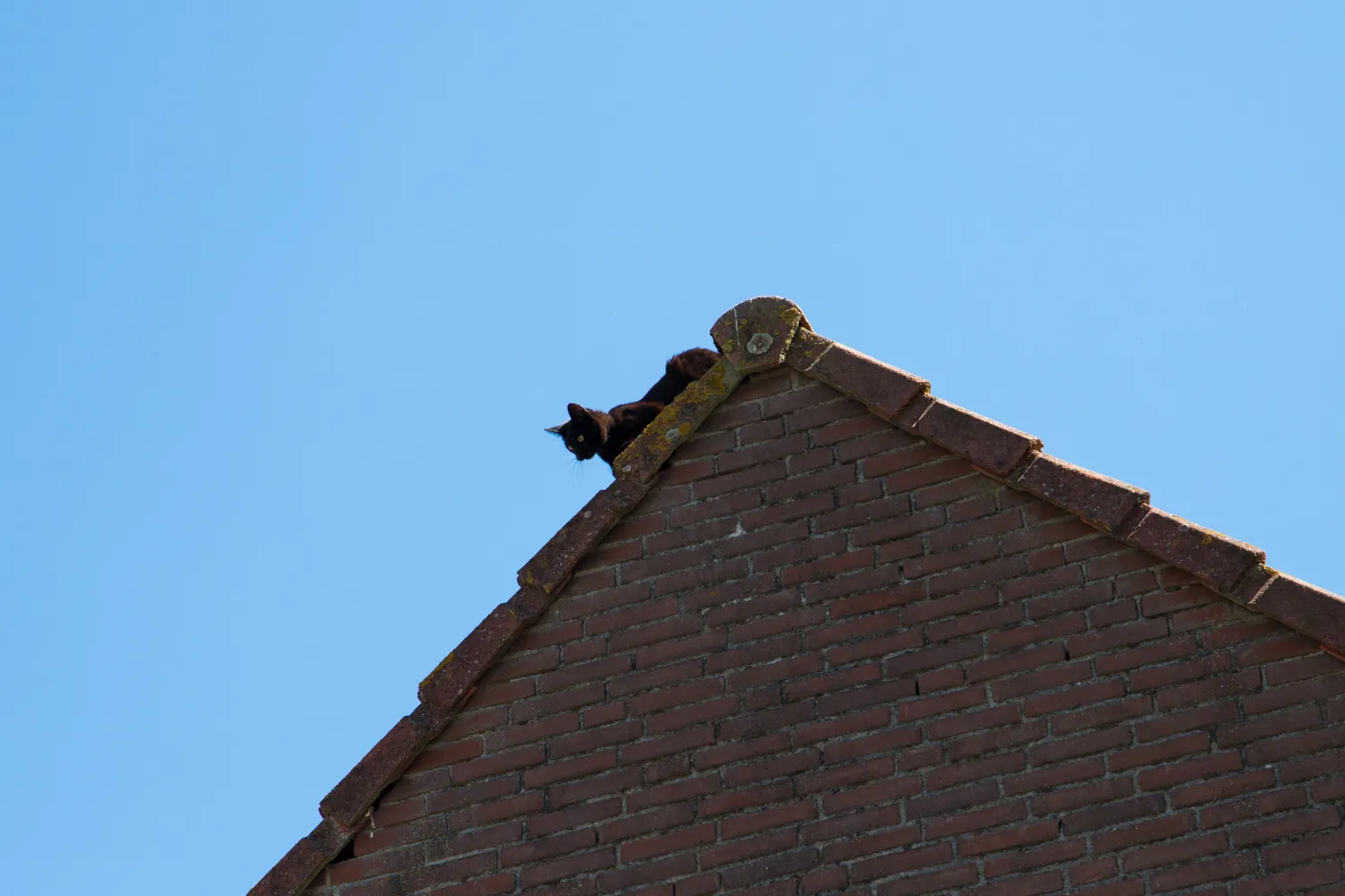 02072018 brandweer red kat van dak beuningen 4