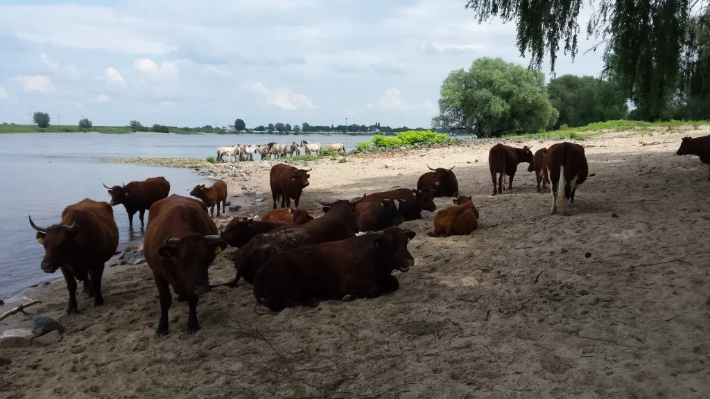 0f4454d6 4435 7fcd 34d8 0d3550e3f583 thumb1024