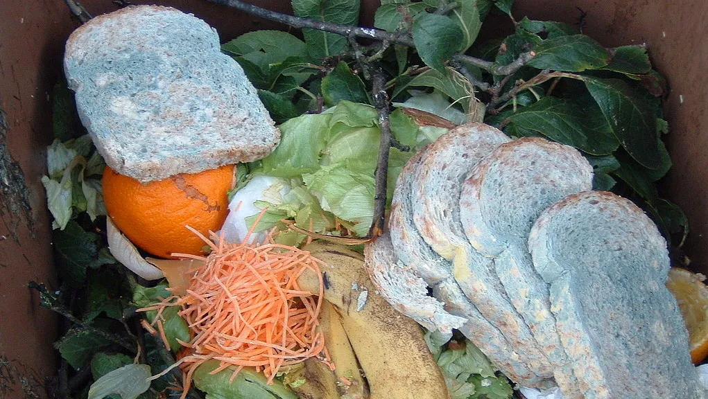 1024px molded bread e1430416733955