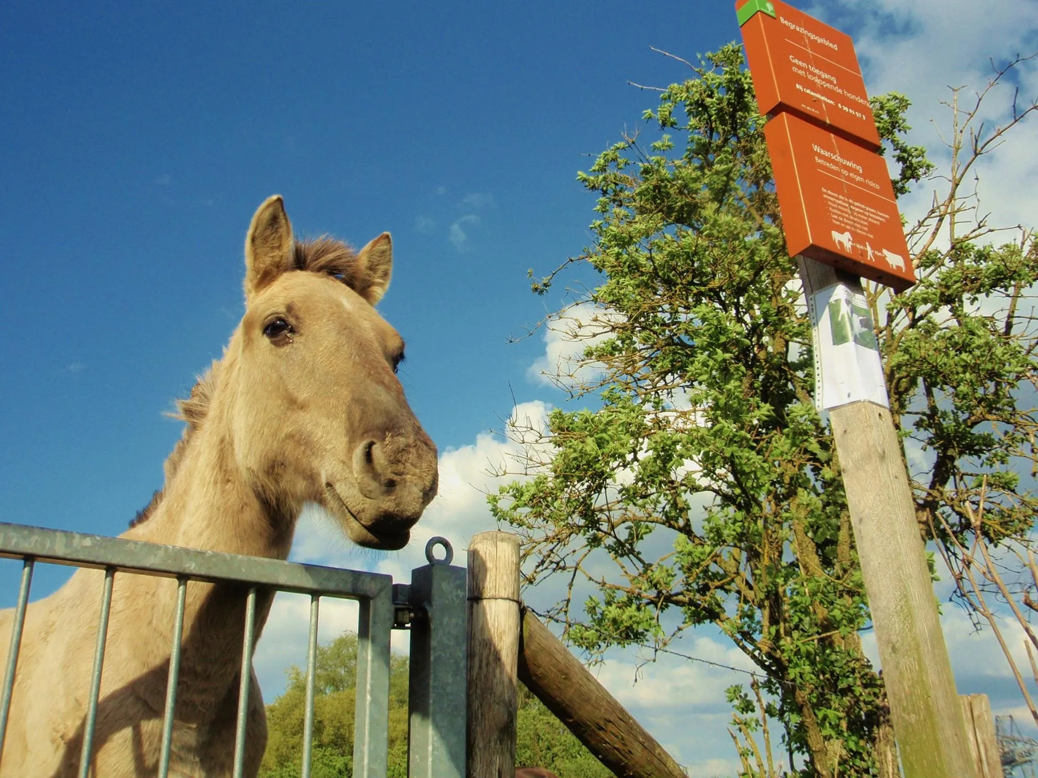 10835197 740536876029466 6300523358708522716 o