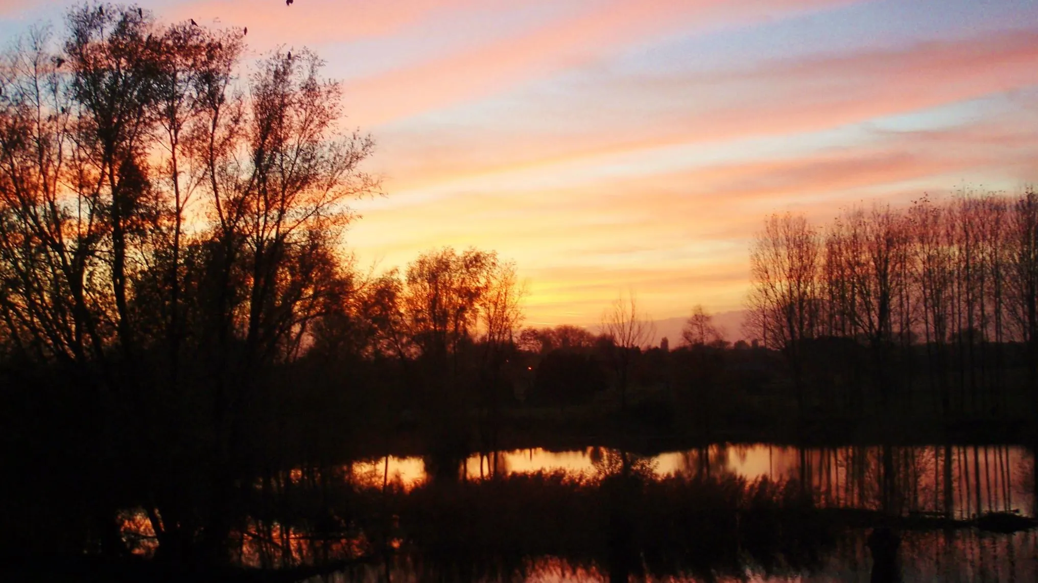 10917951 753990584684095 3781757757910071985 o e1452150784349