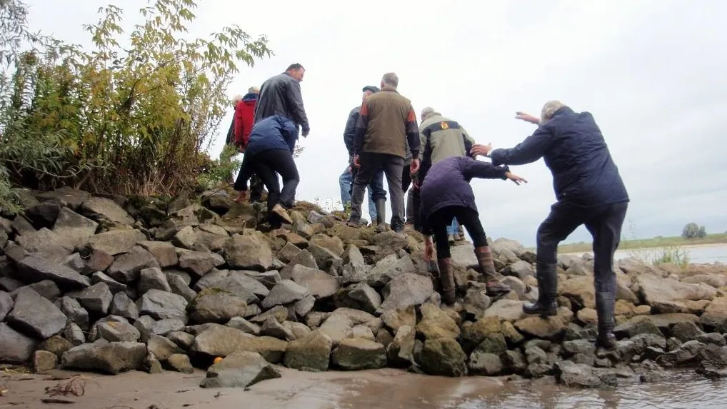 11536461 876187005797785 5763590733487293334 o e1456709098101