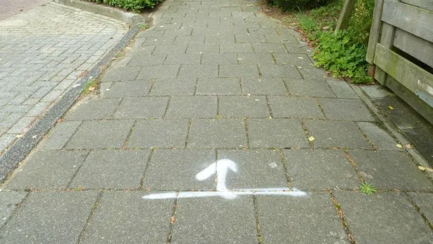 11722631 833405000048061 7292978516225340628 o e1436703961987