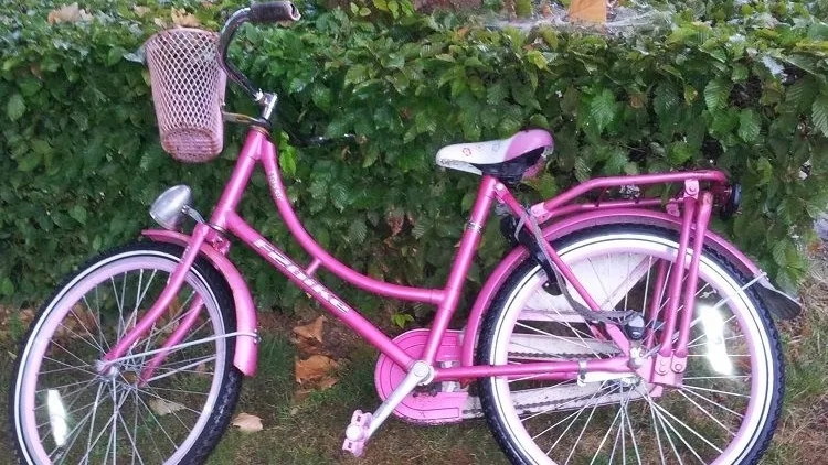 11760047 1663413580566712 3009119809751308580 n e1436918935749