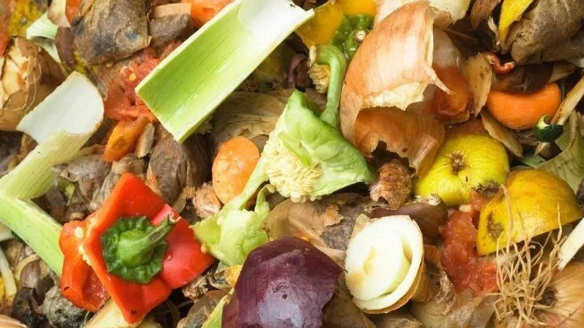 11892134 847706235284604 1617154962879610386 n e1439553233462