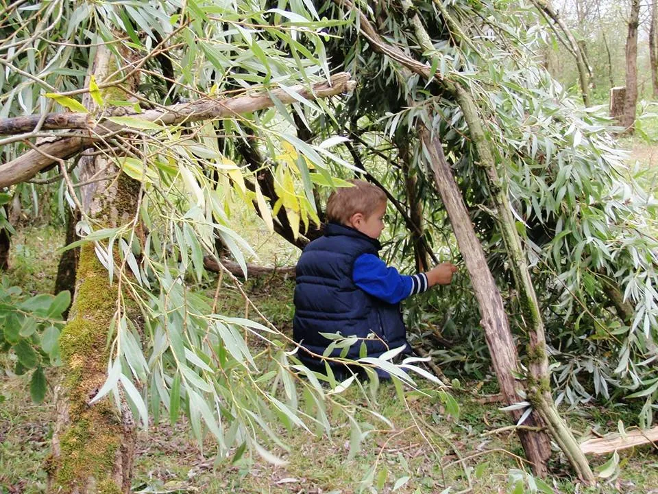 12096579 896848650398287 1476902662142070031 n