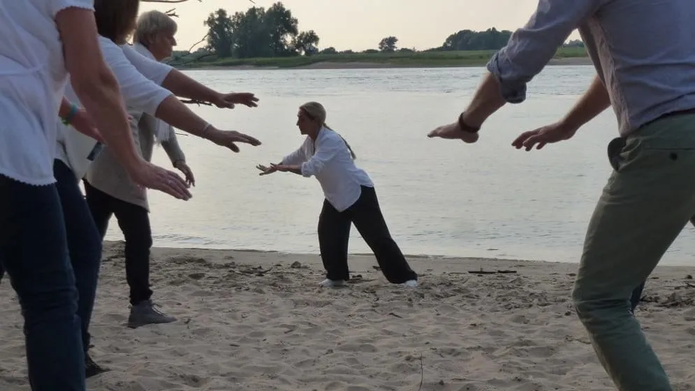 12248092 905830489500103 6860506713051615542 o e1447974881802