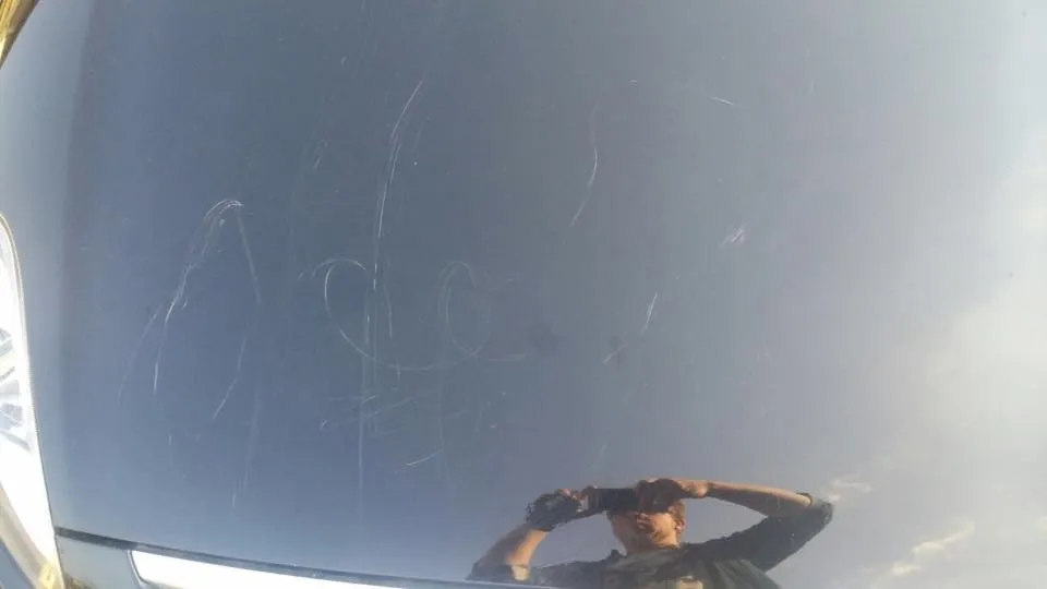 12993344 10209529060692378 6948906548643916906 n