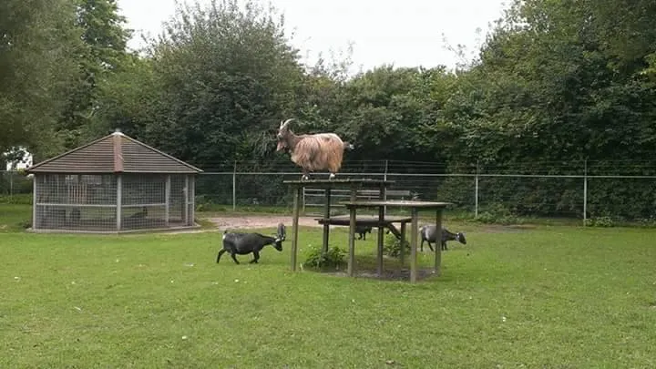 13183181 10154198343127140 1490764506 n